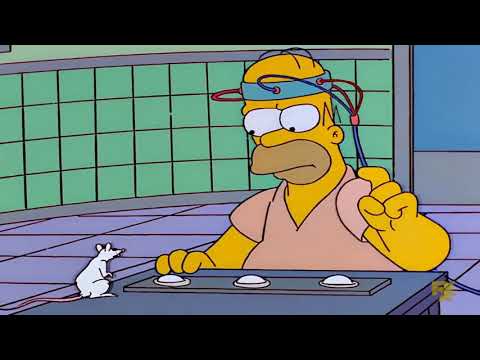 Homer Simpson | Gerunds and infinitives