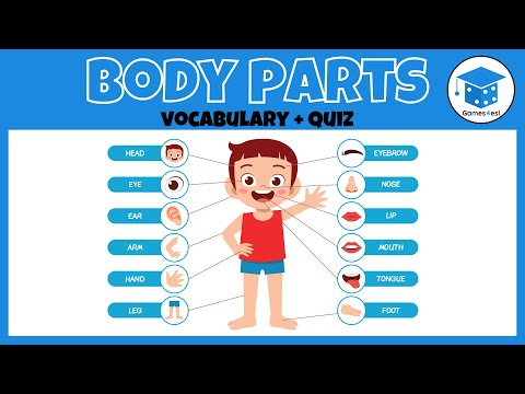 Body Parts Quiz