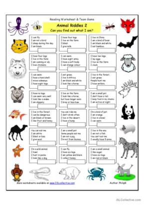 Animal Riddles 2 (Medium)