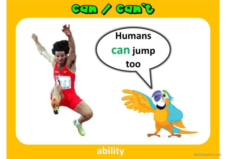 Can/can't PPT