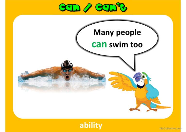 Can/can't PPT