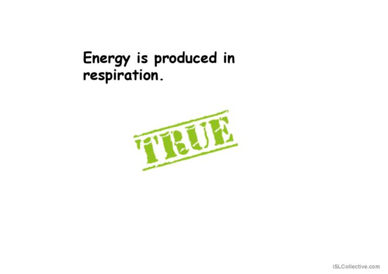 COMBUSTION AND AEROBIC RESPIRATION PART 3 ACTIVITY