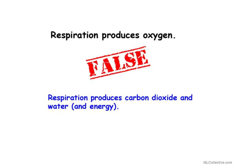 COMBUSTION AND AEROBIC RESPIRATION PART 3 ACTIVITY