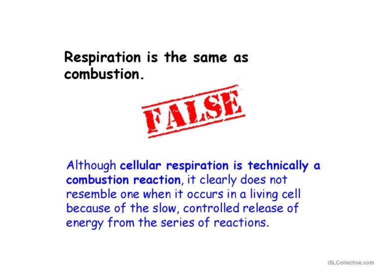 COMBUSTION AND AEROBIC RESPIRATION PART 3 ACTIVITY