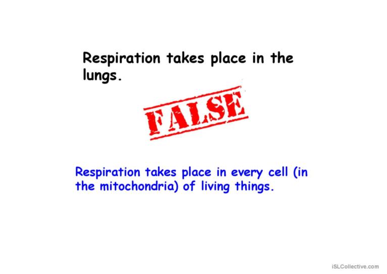 COMBUSTION AND AEROBIC RESPIRATION PART 3 ACTIVITY