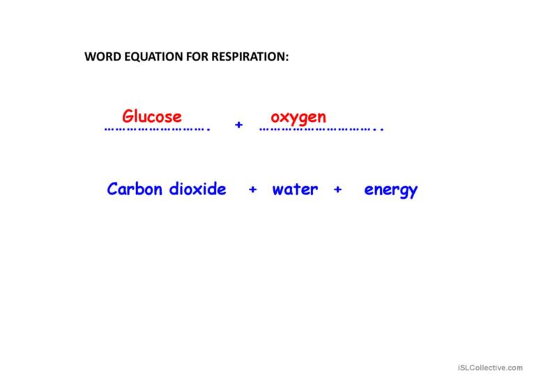 COMBUSTION AND AEROBIC RESPIRATION PART 3 ACTIVITY