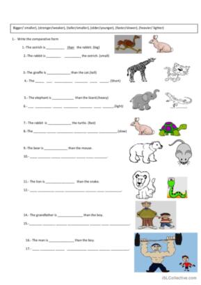 comparative exercise