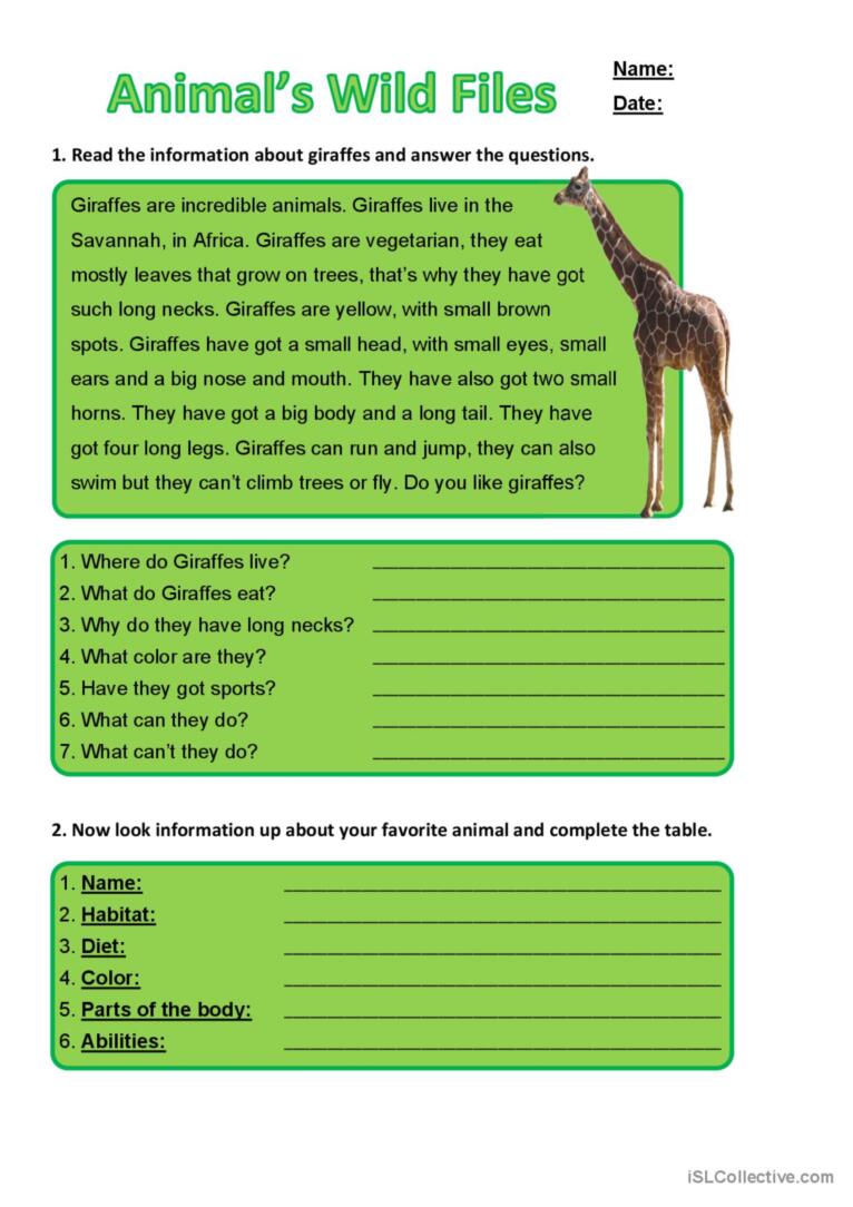 Giraffes' description