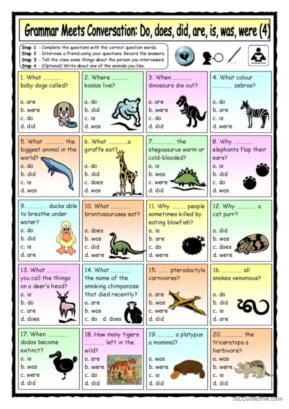 Grammar Meets Conversation: Do, does, did, are, is, was, were (4) - The Animal World