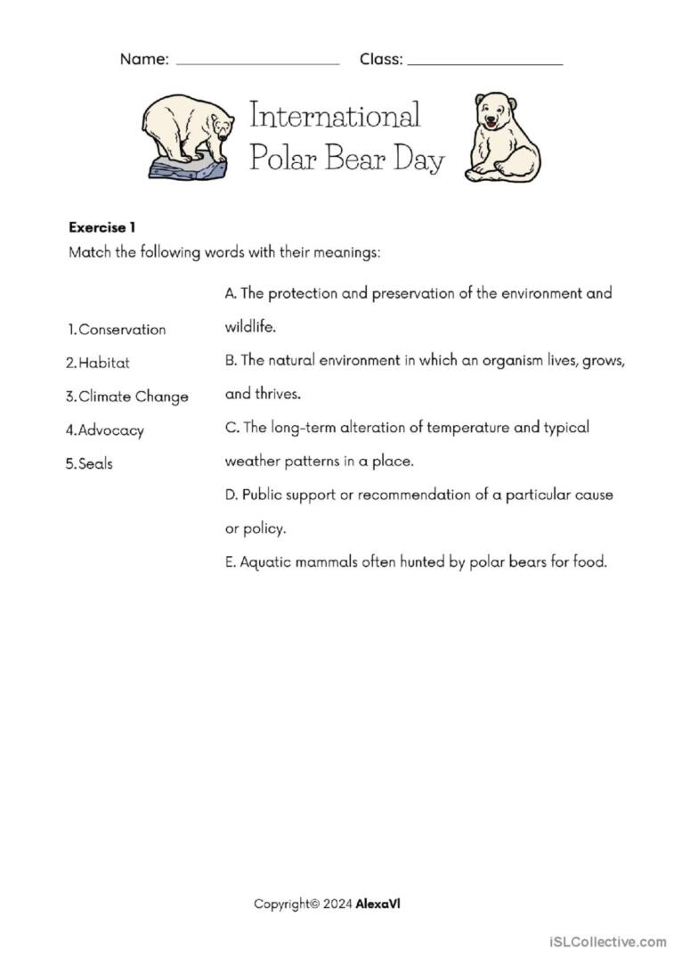 International Polar Bear Day Reading Comprehension