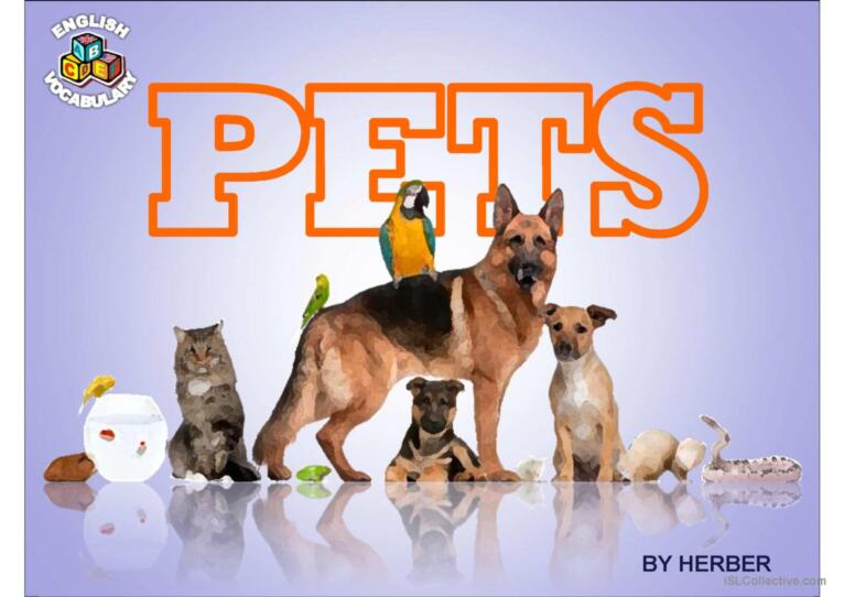 PETS PPT