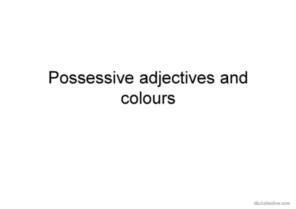 Possessive adjectives and colours