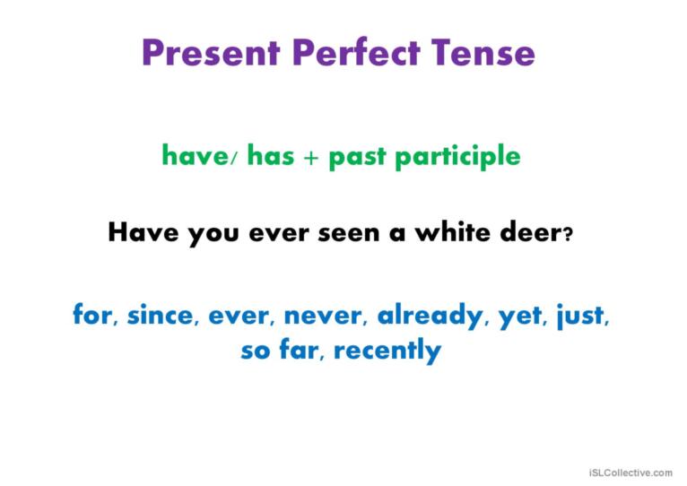 Present and Past tenses revision