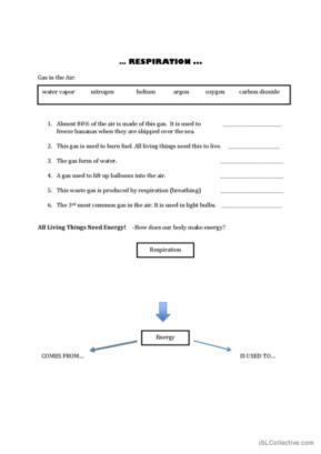 Breathing and Respiration Fact Sheets