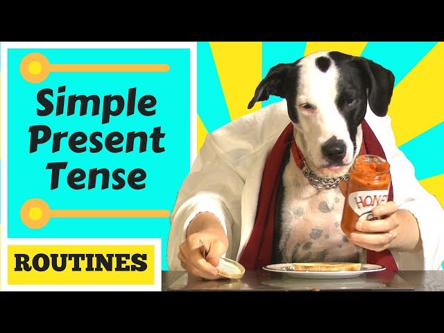 Carter's Breakfast Routine - The Present Simple Tense -