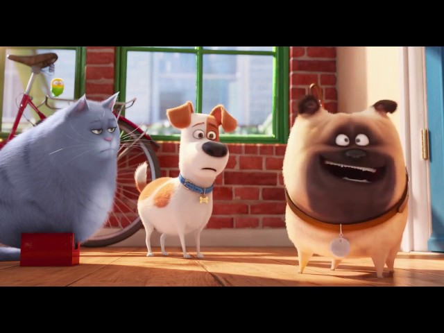 The Life of Pets - Simple Greetings