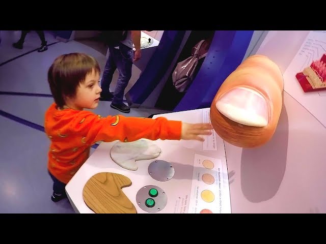 Body Museum: Practice Body Parts