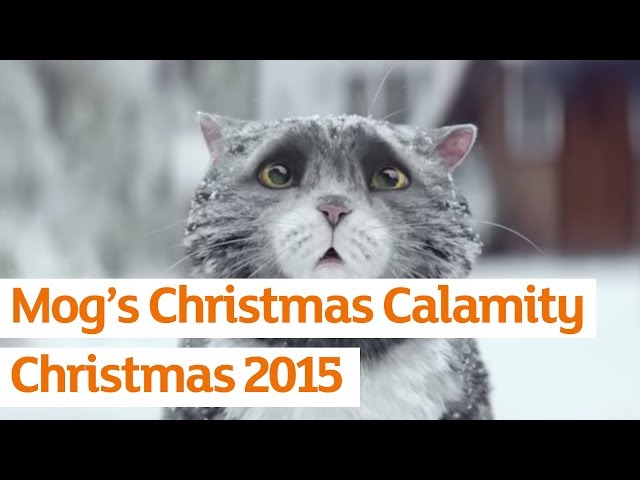 Mog's Christmas Calamity