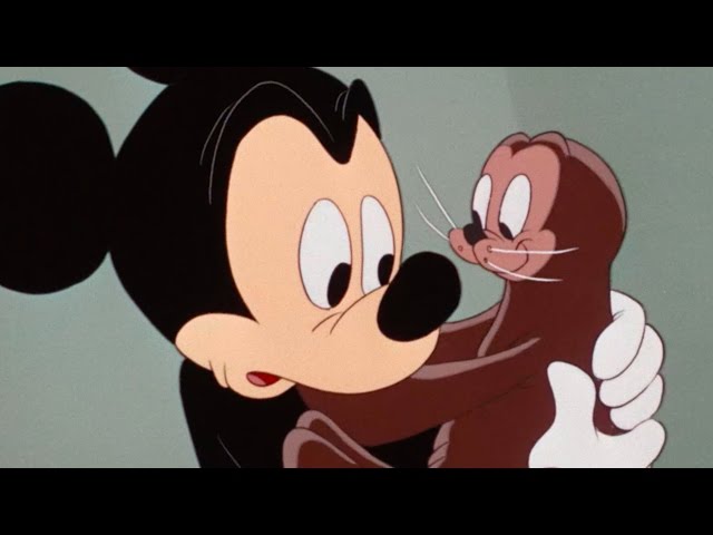 Mickey Mouse and The Seal  - Verb To Be