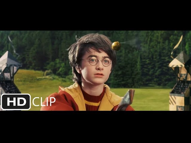 Harry Potter and the Sorcerer's Stone - First Quidditch Match