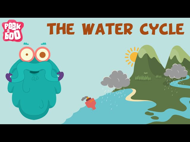 The Water Cycle