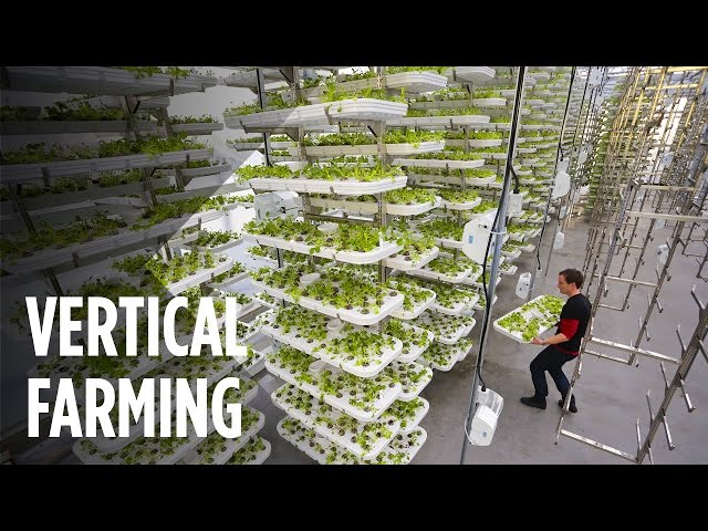 Farms of the Future - No Soil & 95% Less Water