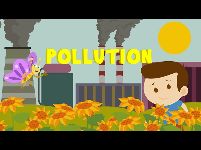 Learn About Pollution - Comprehension Questions