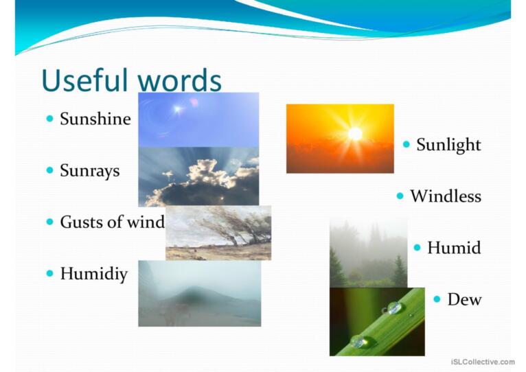 The weather vocabulary and forecast