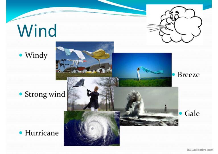 The weather vocabulary and forecast