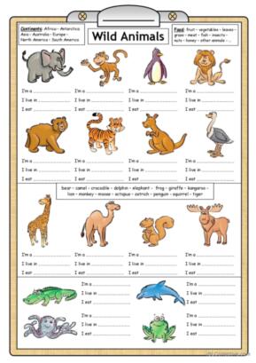 Wild Animals - Reading & Writing worksheet