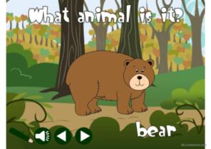 Wild animals - vocabulary *with sound*