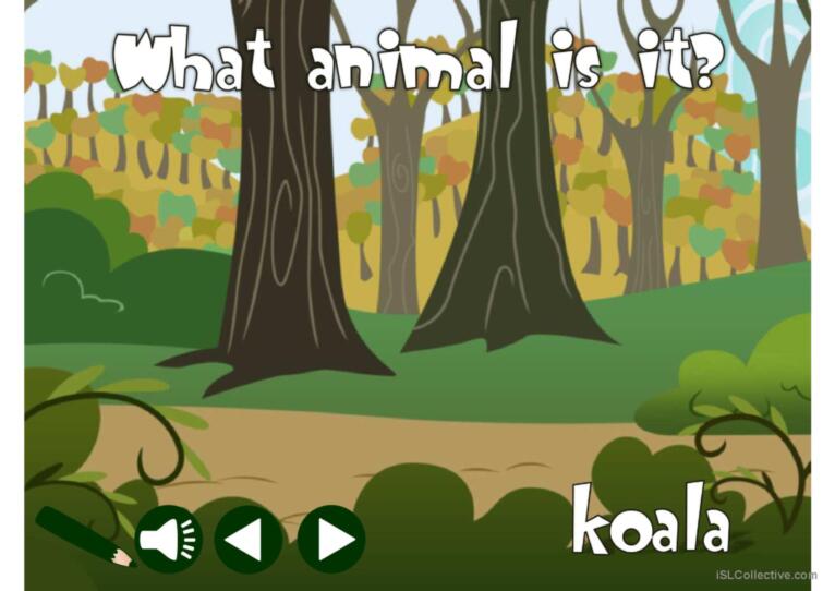 Wild animals - vocabulary *with sound*