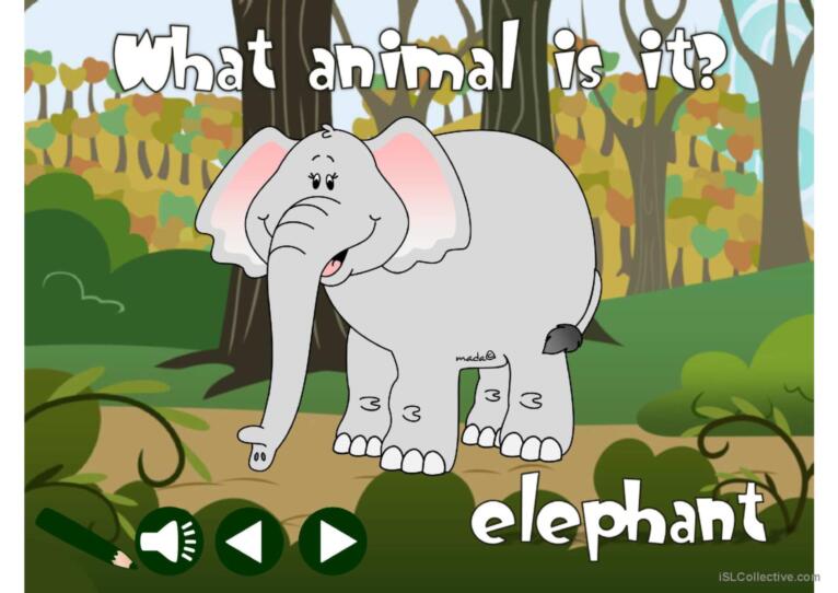 Wild animals - vocabulary *with sound*