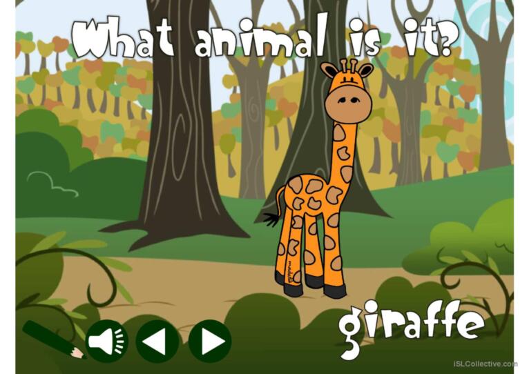 Wild animals - vocabulary *with sound*